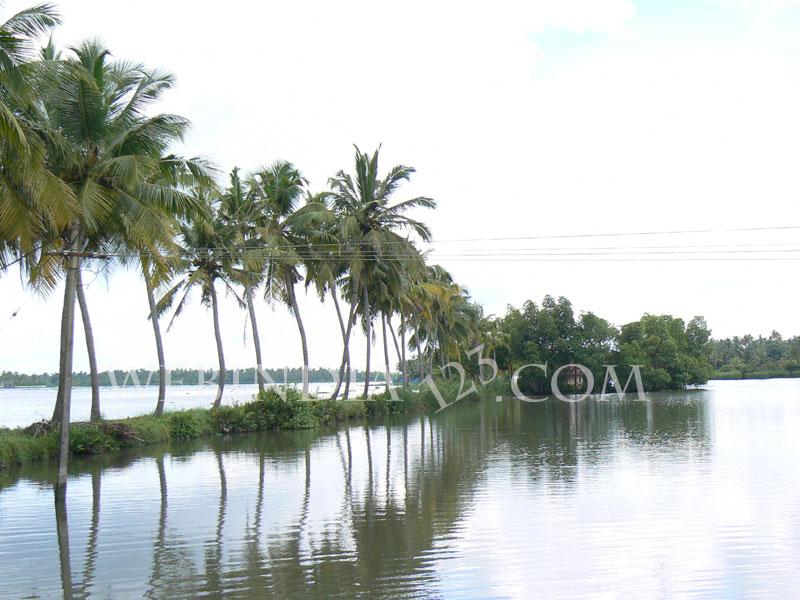 Alleppey - Kerala