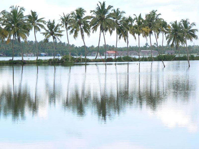 Alleppey - Kerala