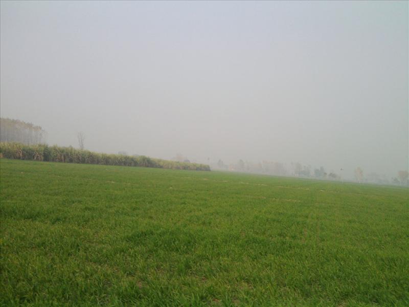 Indian Nature