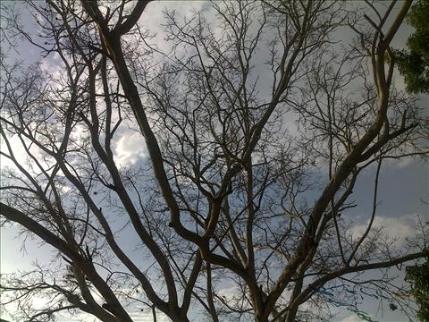Beauty+of+Nature