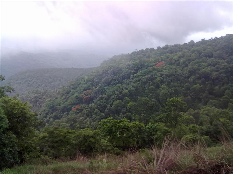 The Nature