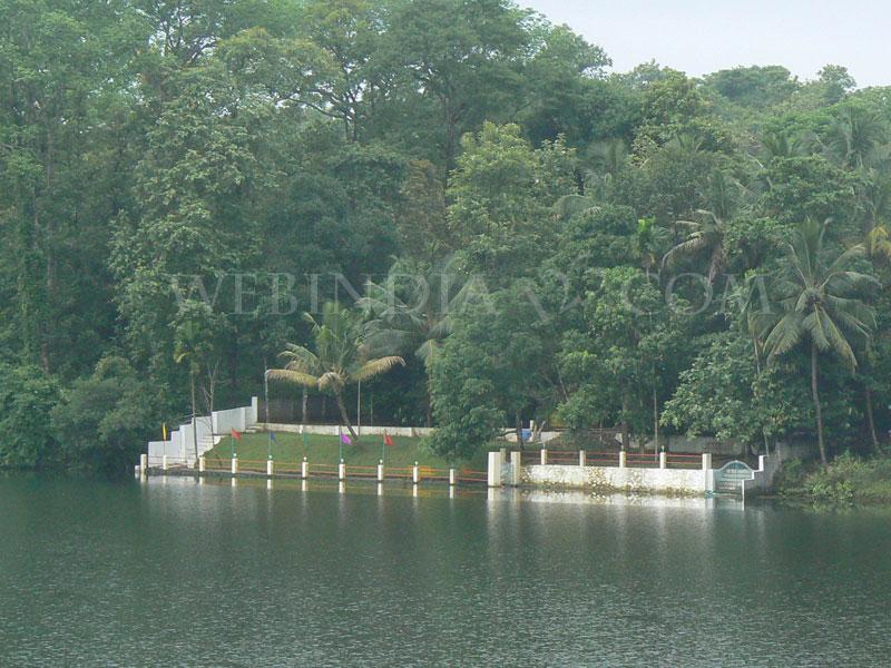 Salim Ali Bird sanctuary or Thattekkadu - Kerala