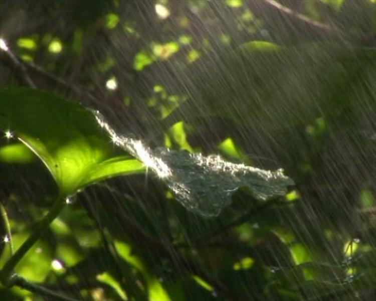 Hai It`s Raining