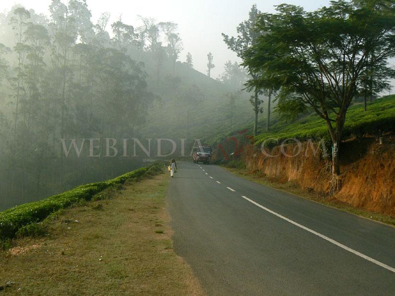 Misty Wayanad - Kerala