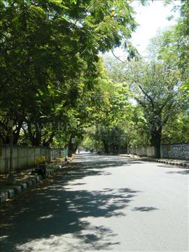 Besant Nagar Road, Chennai