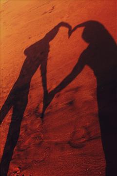The Shadows of LOVE