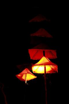 Umbrella with Light