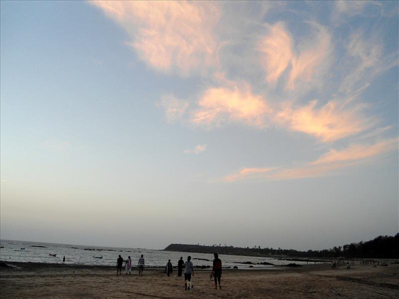 Nature n Humans