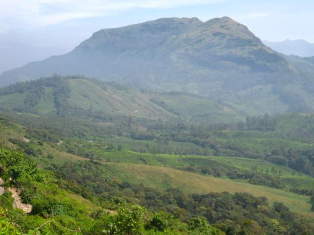 Munnar landscape