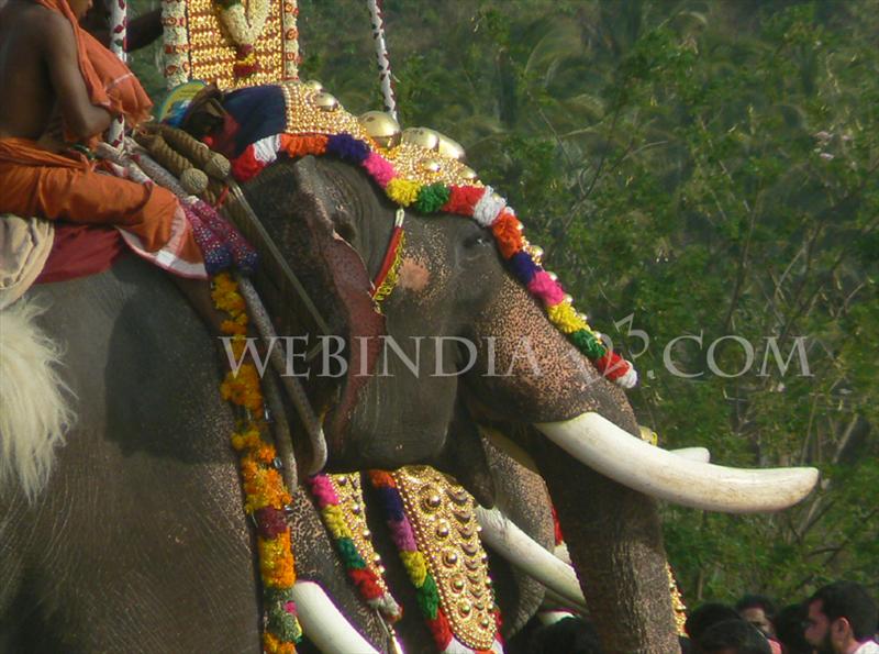 Nenmara, Palakkad