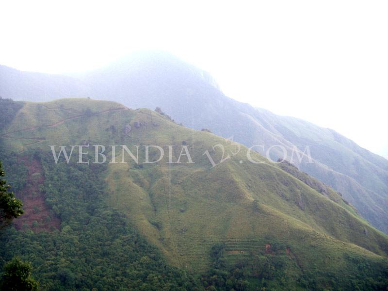 Munnar, Kerala