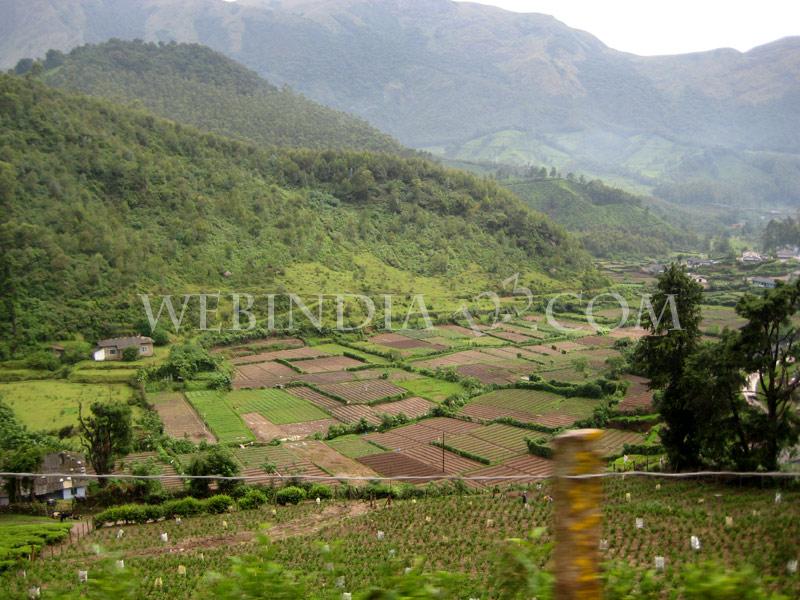 Munnar, Kerala