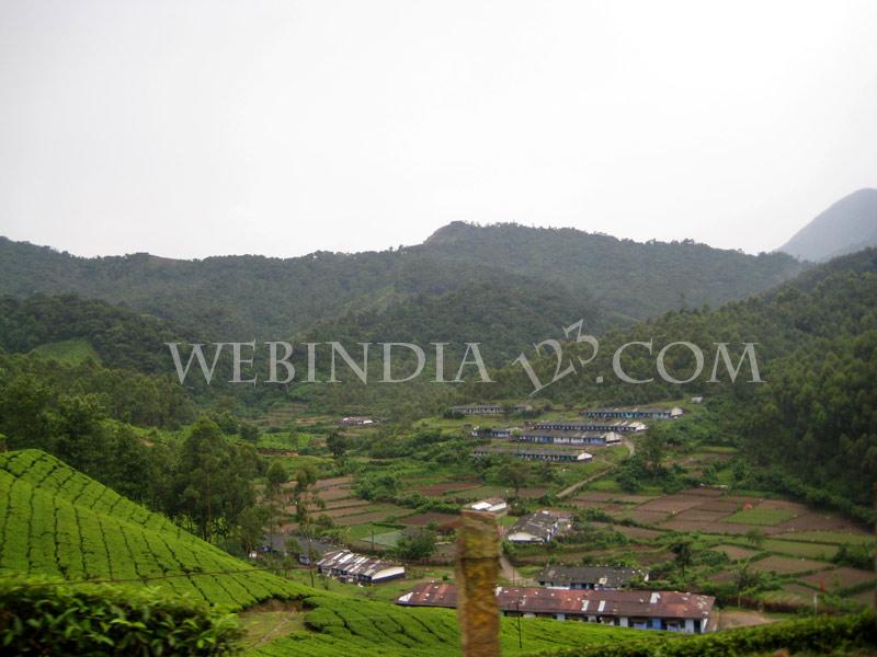 Munnar, Kerala