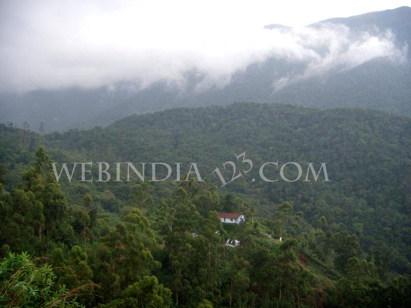 Munnar, Kerala