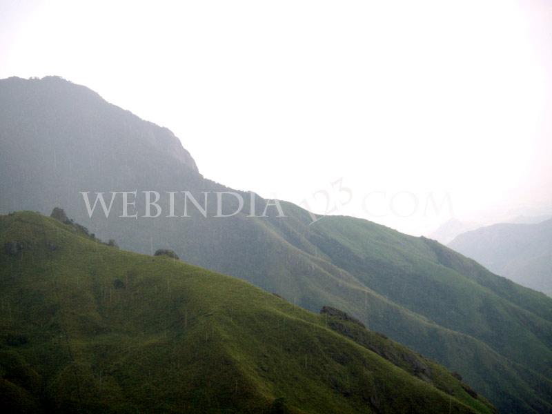 Munnar, Kerala