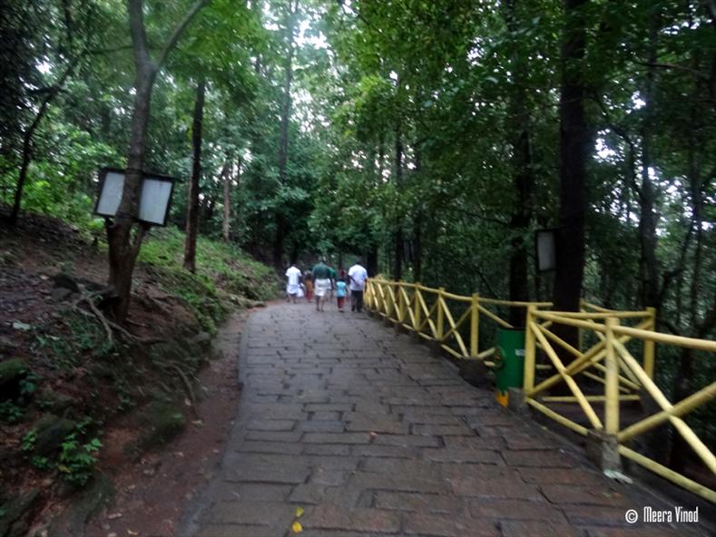 The rock pathway - Athirappilly