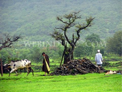 Khireshwar Village, Maharashtra