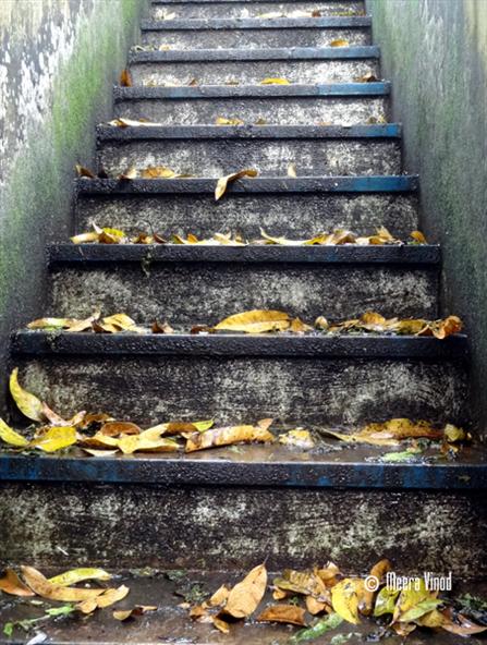 Steps