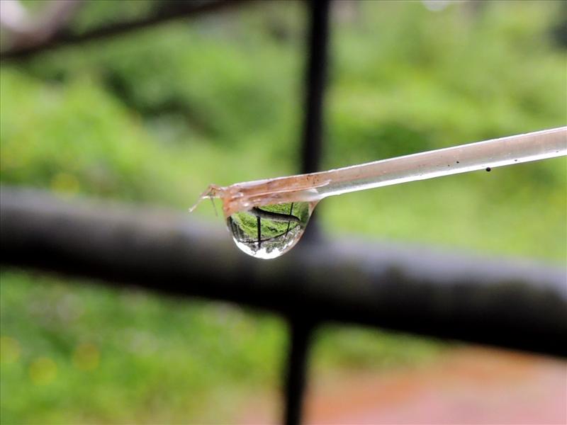 reflection inside water drop