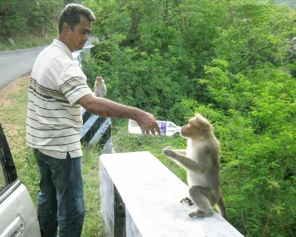 Kindness