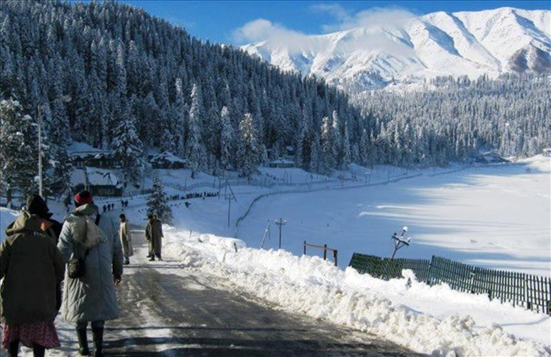 Scenic beauty of Gulmarg - Gulmarg Photos