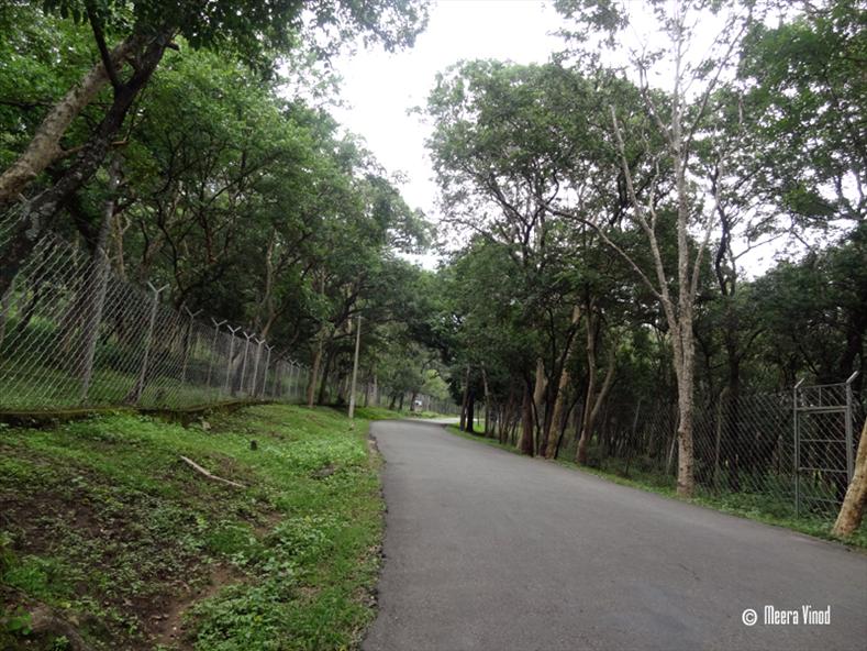 Marayoor Sandal Forest