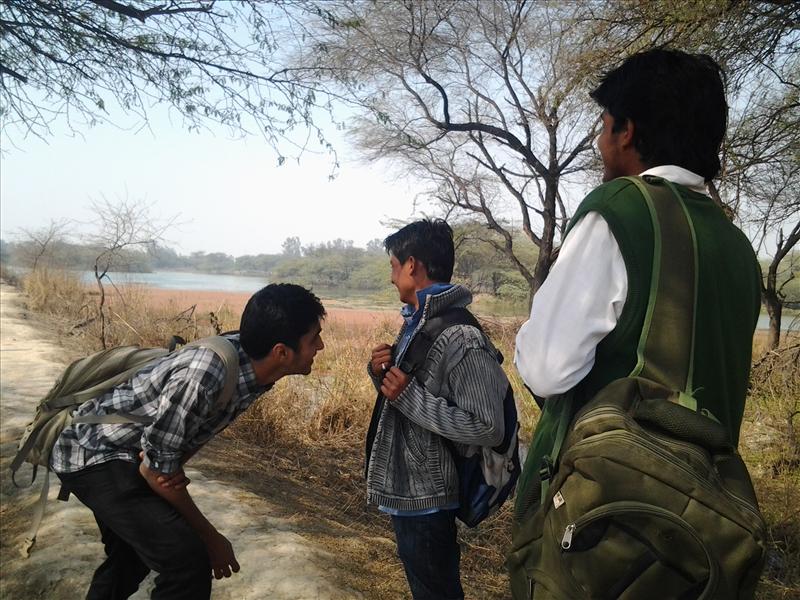 friends