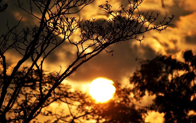 Sunset in the Jungle...