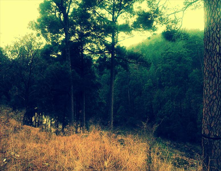 Nature redefined