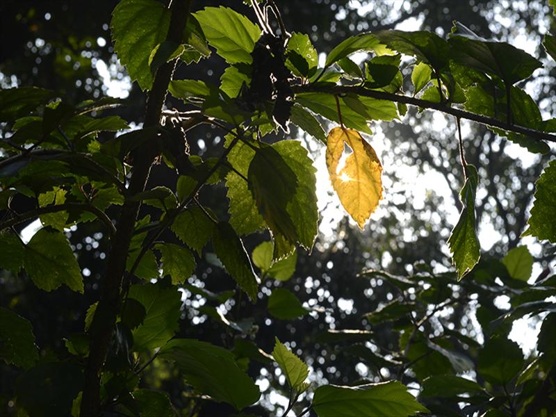 ..........still he is their