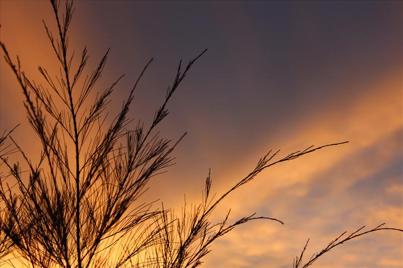 sun set