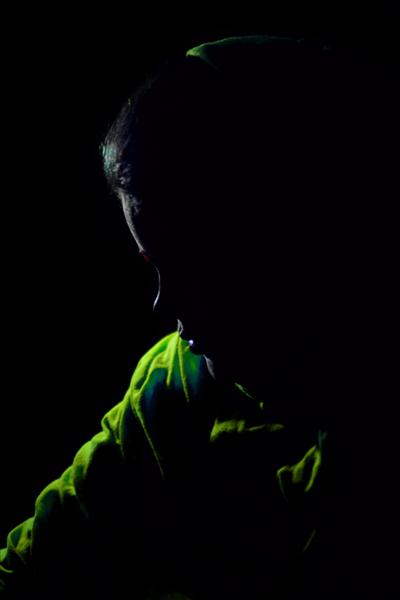 NO LIFE without LIGHT