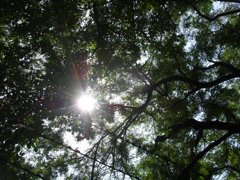 light