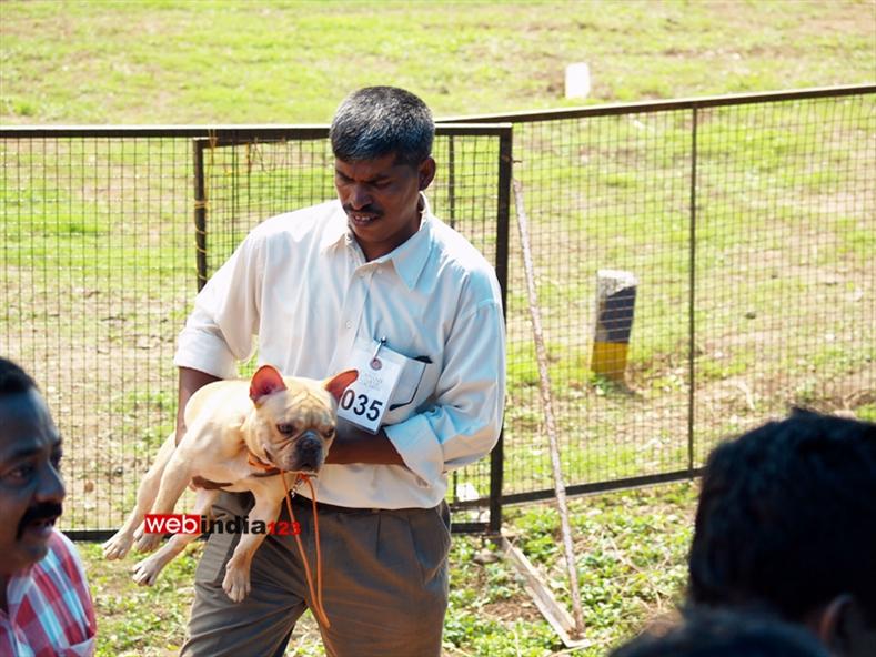 Dog show at Kochi