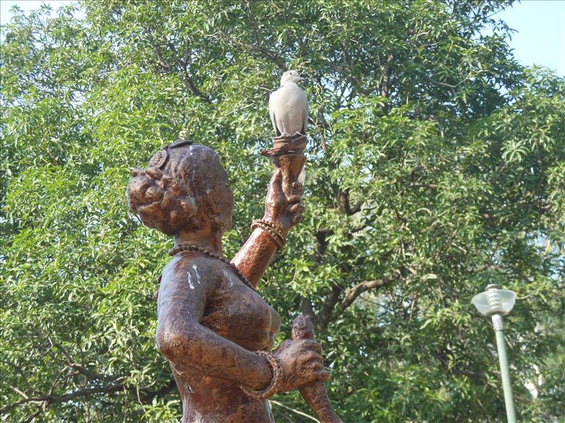A pigeon sit on a statue