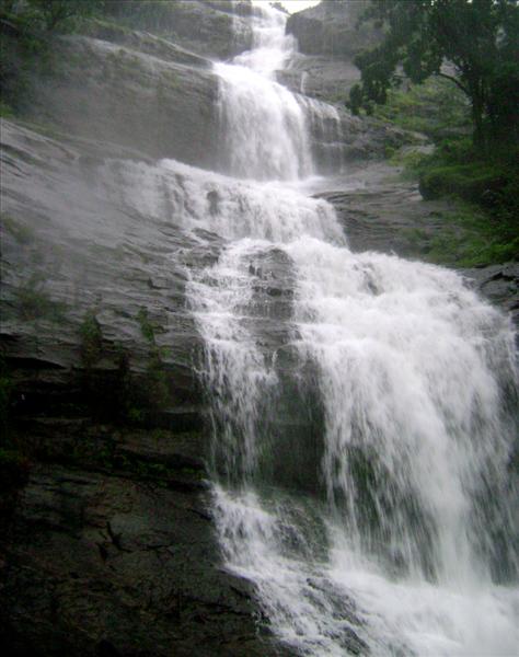 Waterfall- Munnar