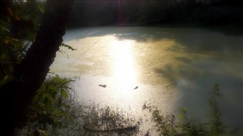 Cool+Nature