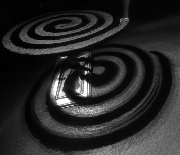 mOsQuItO cOiL