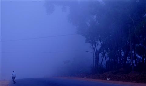 Morning fog Scene