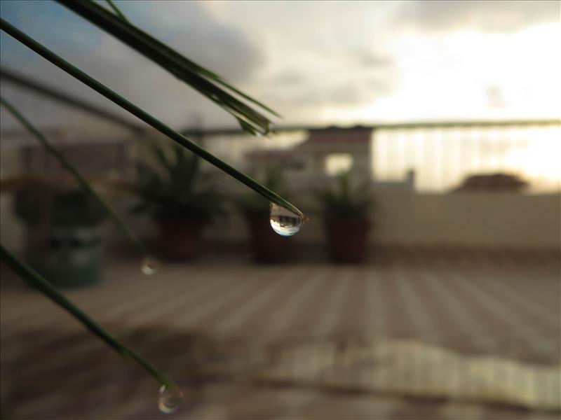 sunset in droplet