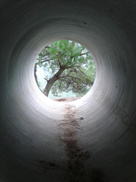 Nature through a pipe