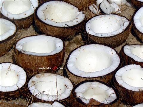 Coconut...