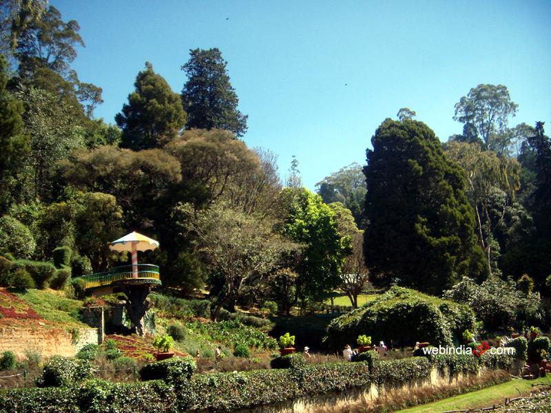 Ooty Botanical Garden, Tamilnadu