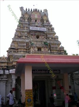 Tirupattur Brahmapureeswarar Koil
