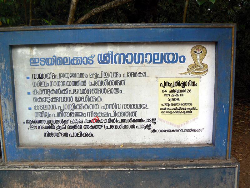 Idayilekadu Sree Nagalayam, Kerala