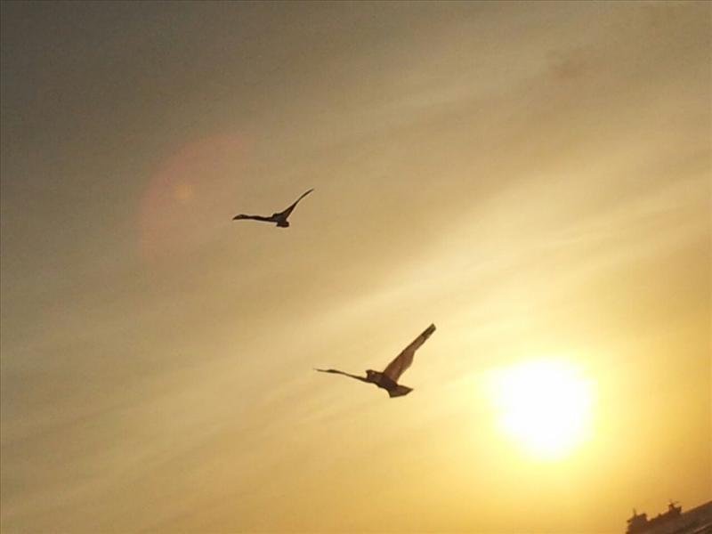 Flying high