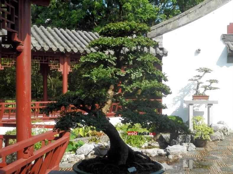 Chinese Garden at Montreal's Botanical Garden