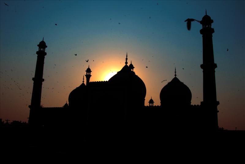 Jamia Masjid Delhi