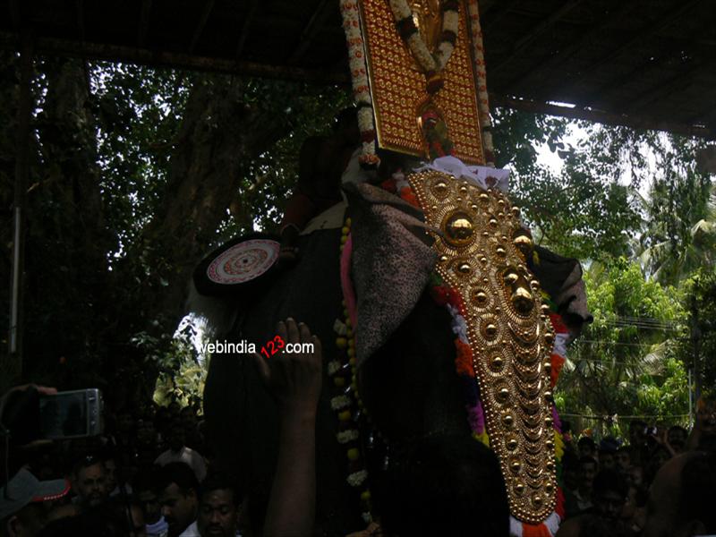 Elephant at Nenmara
