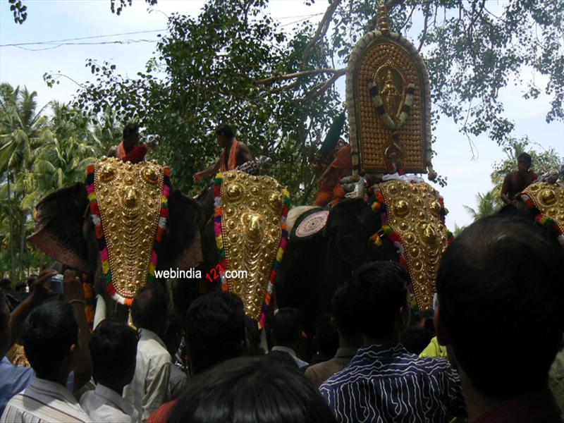 Elephants at Nenmara